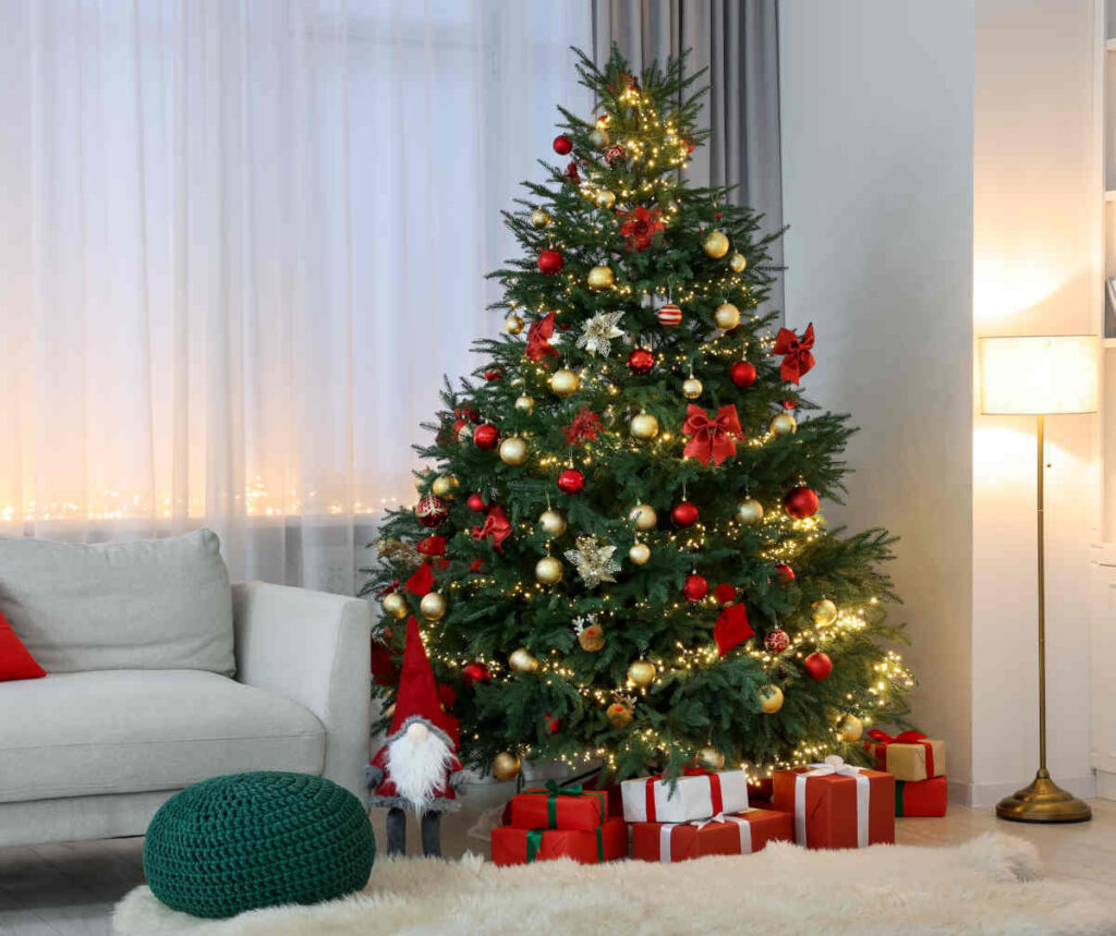 Sapin noël naturel