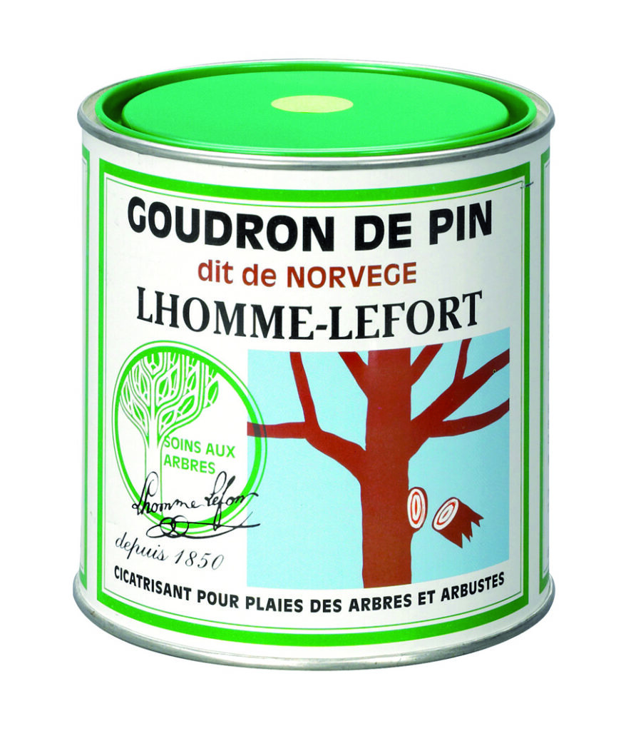 Goudron de pin-650g