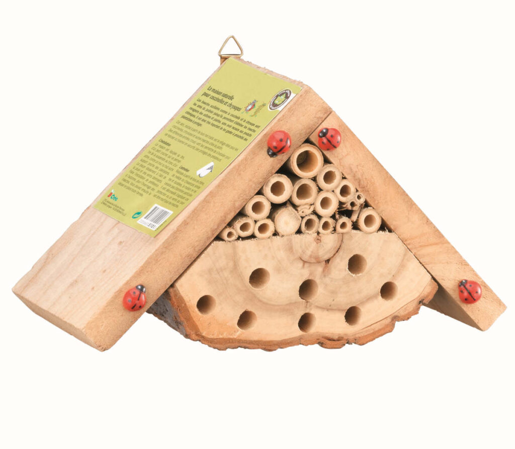 MAISON INSECTES coccinnelle chrysope
