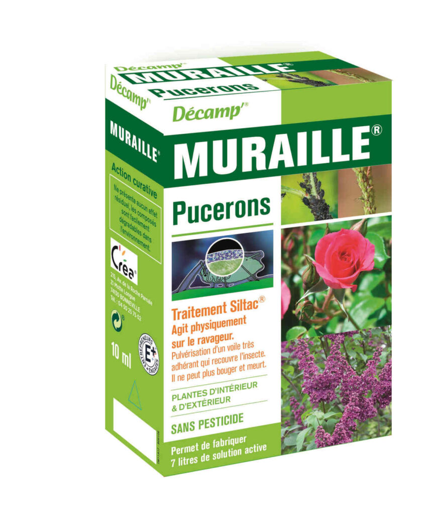 MURAILLE PUCERONS