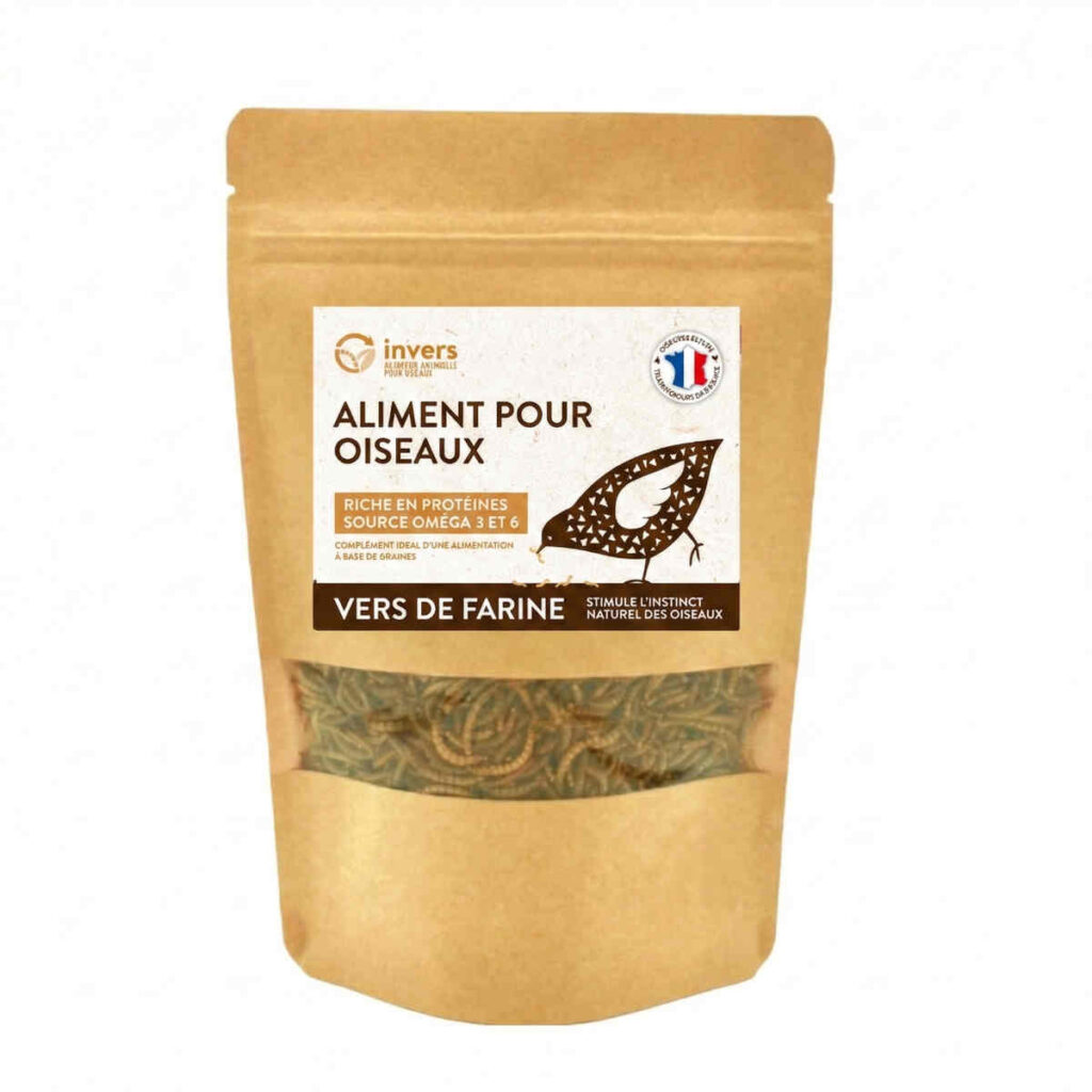 Vers de farine 100g