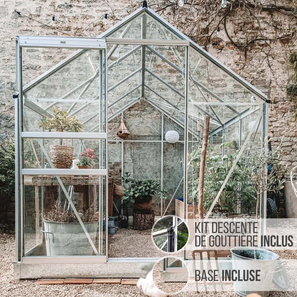 Serre de jardin LAMS Allium 4,90 m² gris anthracite vue d'ensemble