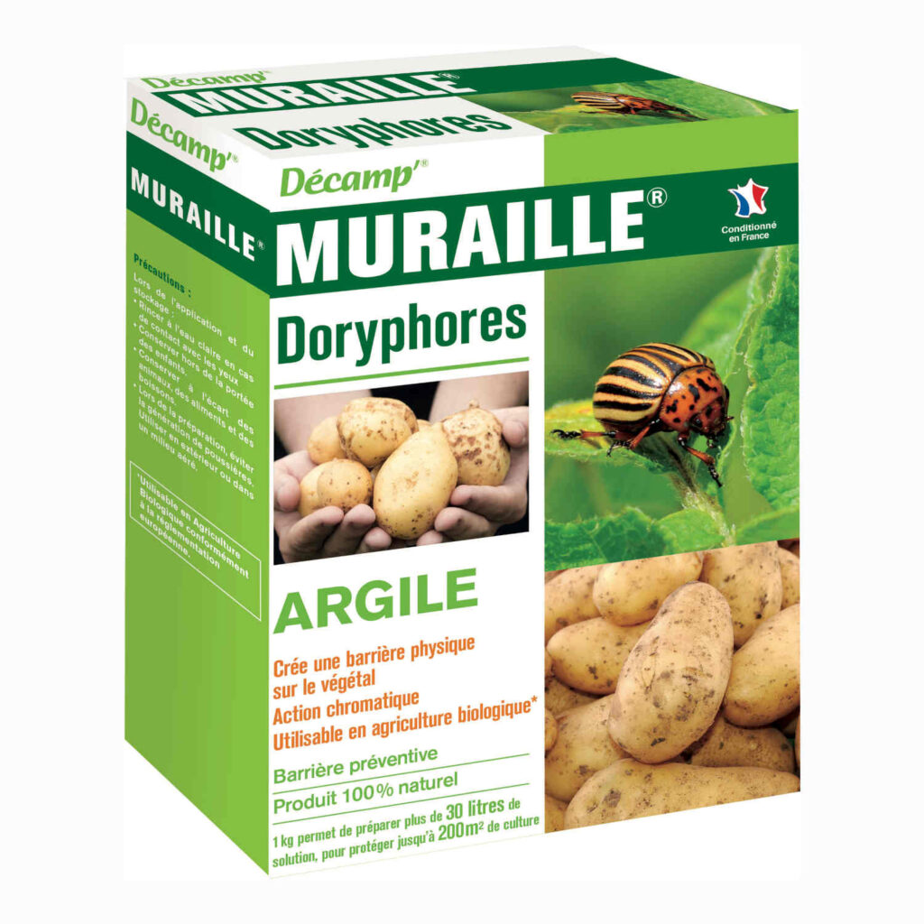 traitement doryphore