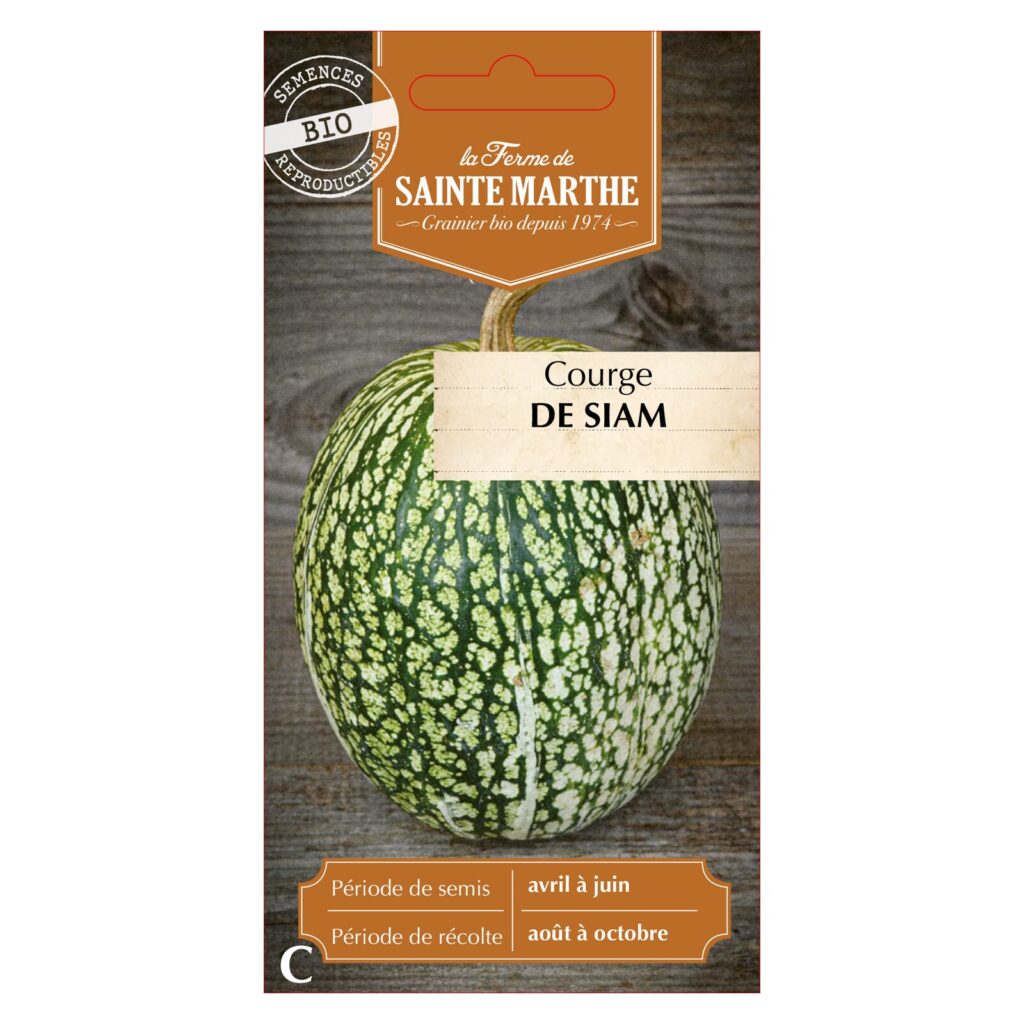 COURGE de Siam - 15 graines bio — sachet recto