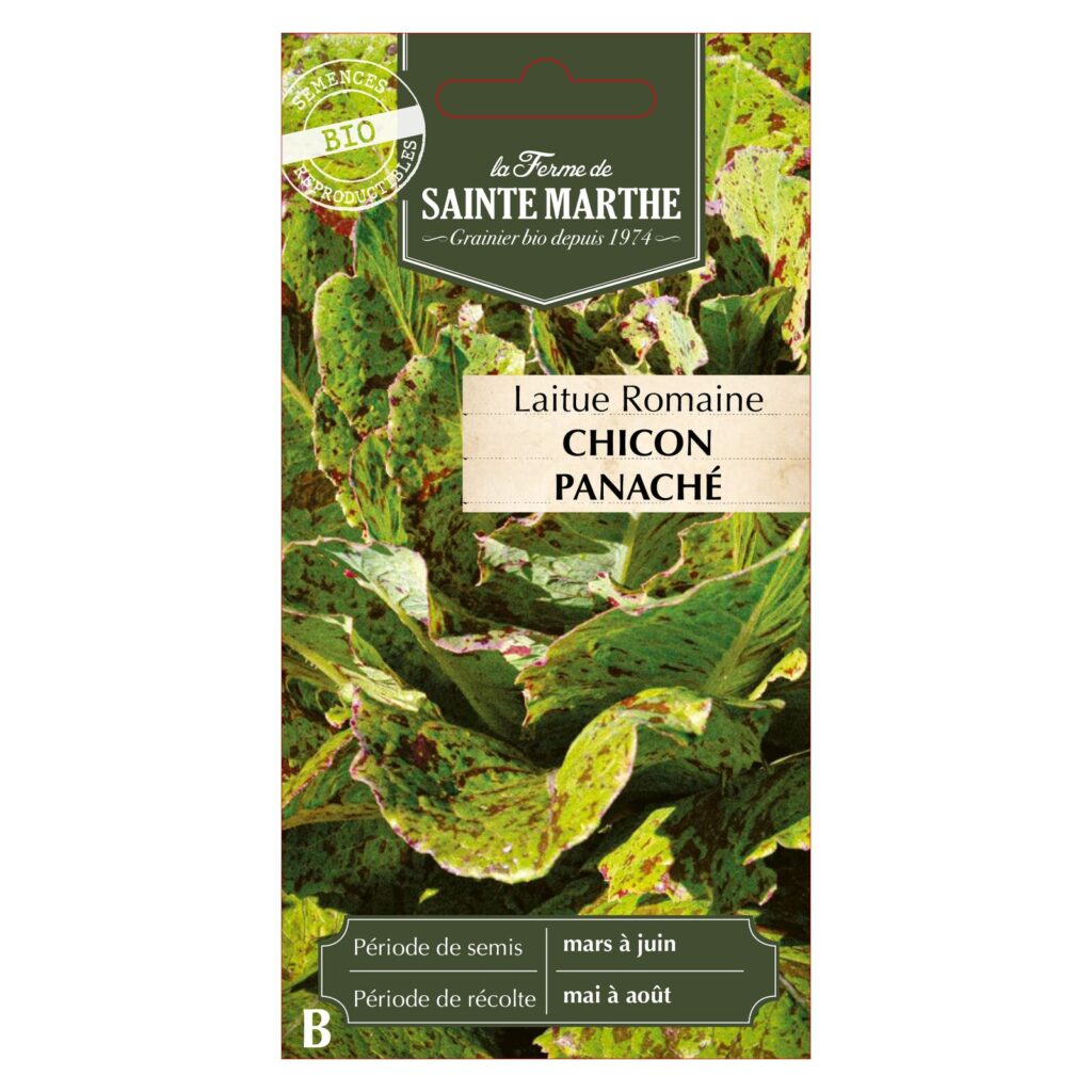 LAITUE ROMAINE Chicon Panaché - 500 graines bio — sachet recto