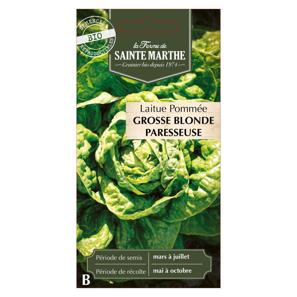 LAITUE POMMEE Grosse Blonde Paresseuse - 500 graines bio — sachet recto