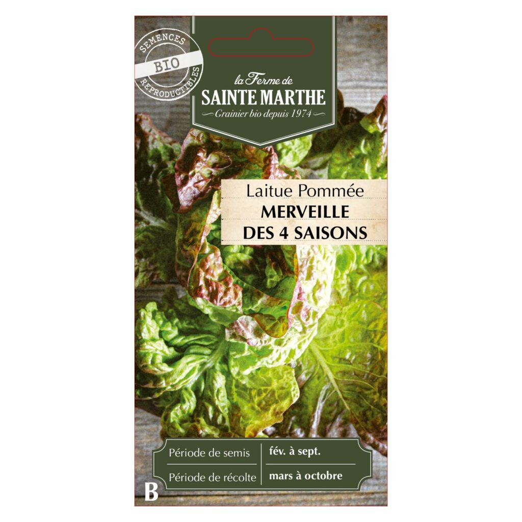 LAITUE POMMEE Merveille des 4 Saisons - 500 graines bio — sachet recto
