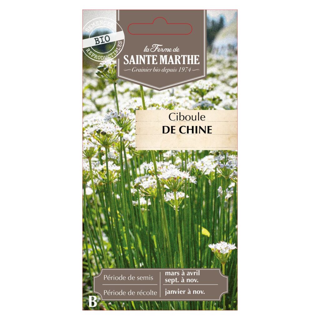 Ciboule de Chine - 200 graines bio — sachet recto