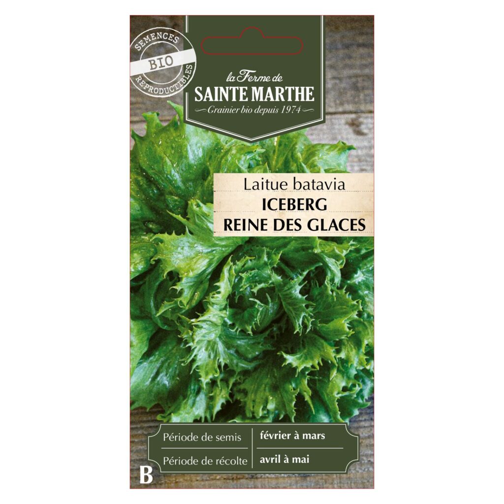 LAITUE BATAVIA Iceberg Reine des Glaces - 500 graines bio — sachet recto