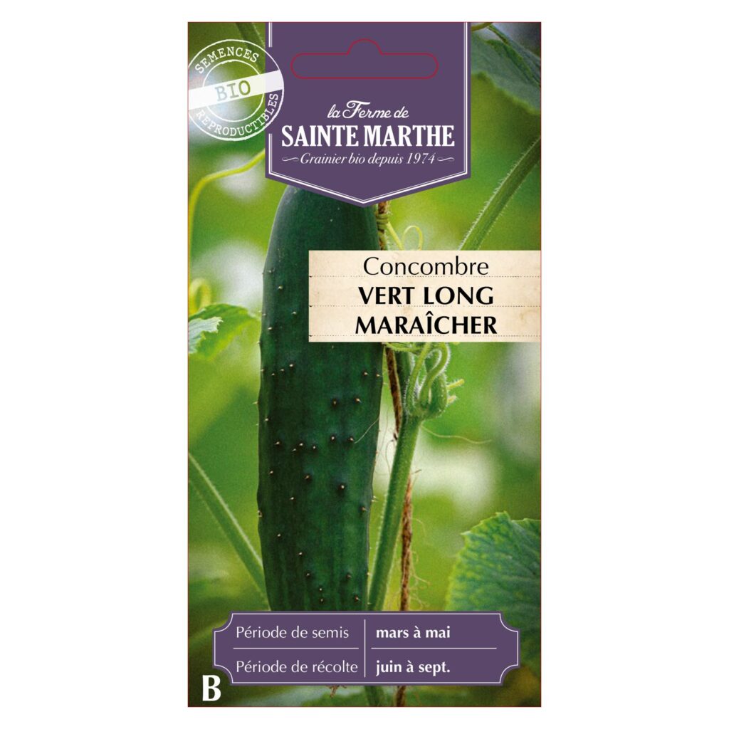 Concombre Vert Long Maraîcher - 15 graines bio — sachet recto