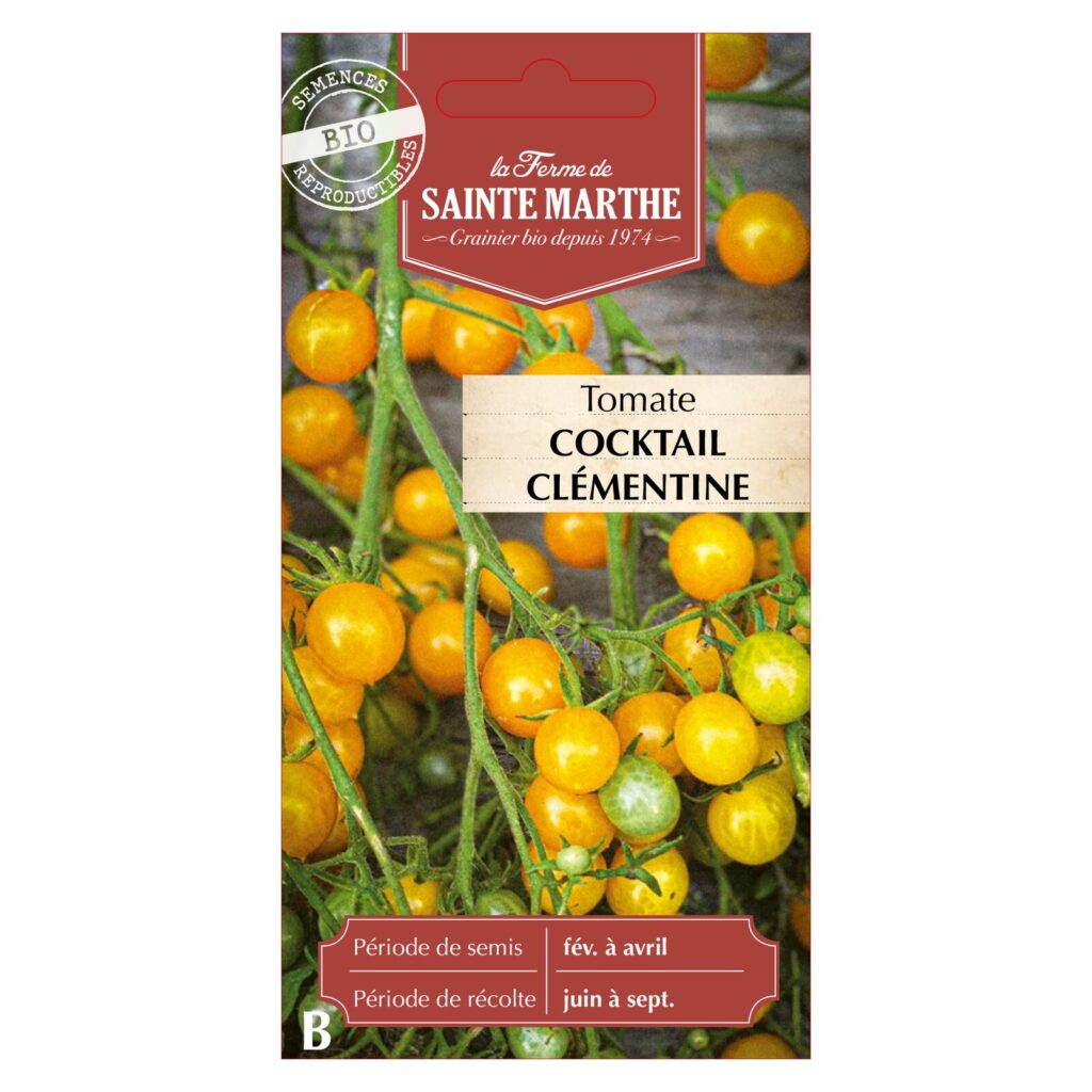 TOMATE Cocktail Clementine - 30 graines bio — sachet recto