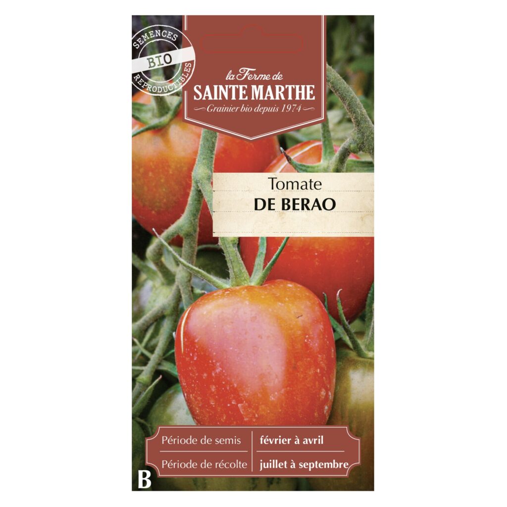 TOMATE de Berao - 30 graines bio — sachet recto
