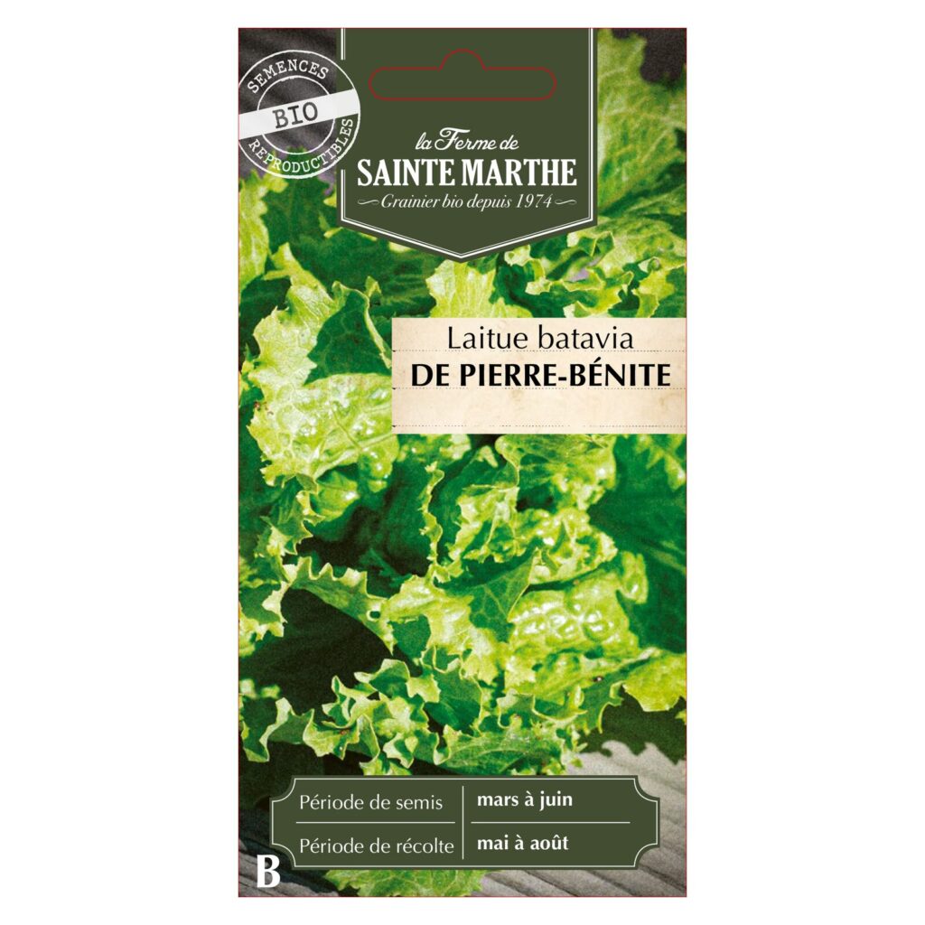 Laitue Batavia de Pierre-Bénite - 500 graines bio — sachet recto