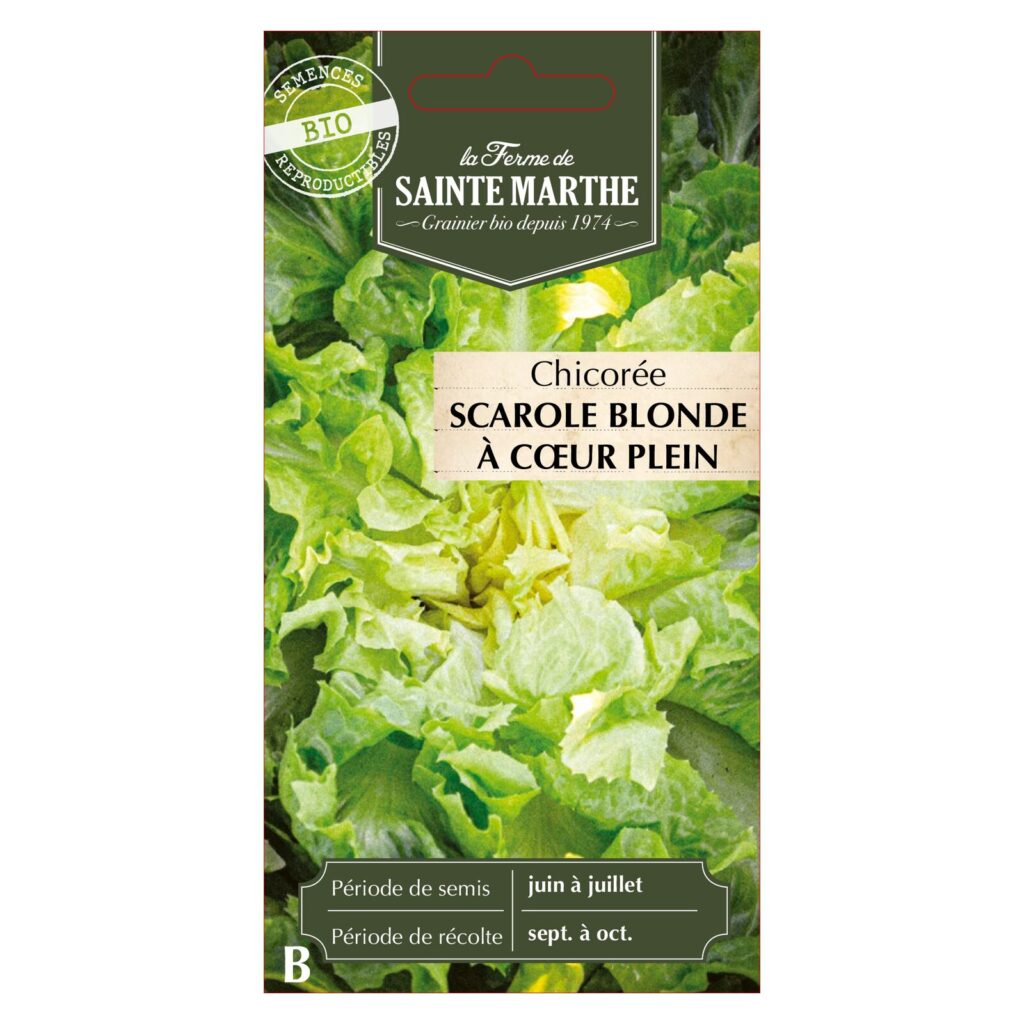 CHICORÉE Scarole Blonde à Cœur Plein - 500 graines BIO — sachet recto
