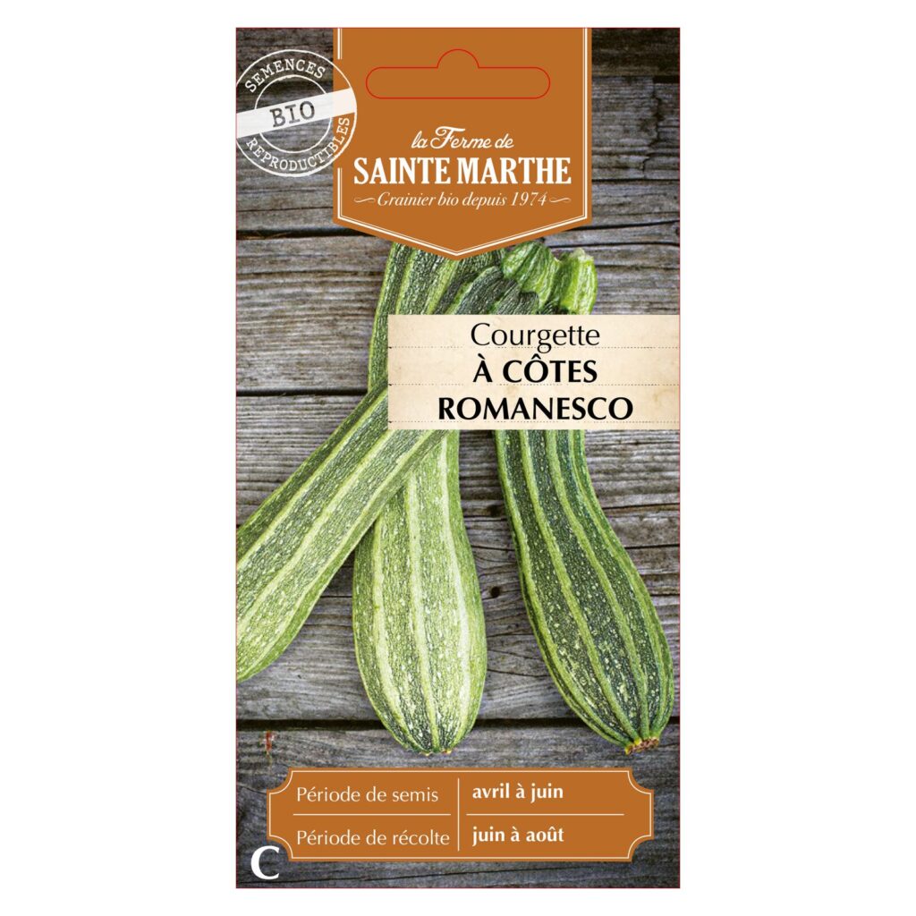 COURGETTE à Côtes Romanesco - 15 graines bio — sachet recto