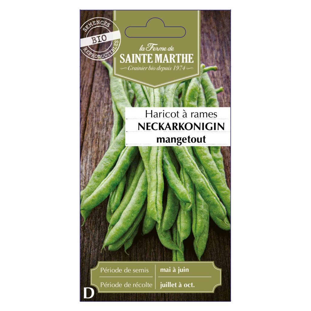HARICOT À RAMES Neckarkonigin - env.190 graines bio — sachet recto